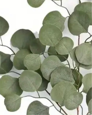 Faux Foliage - Flat Leaf Eucalyptus Stem