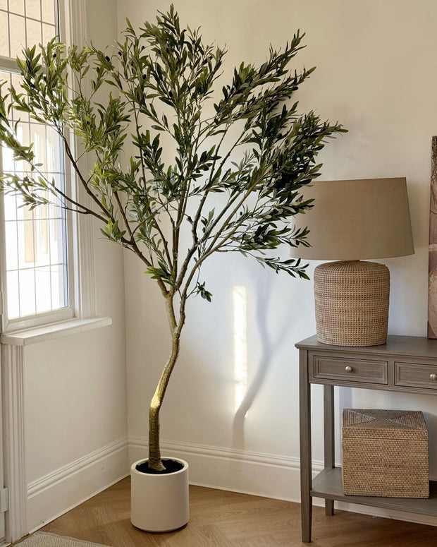 Faux Foliage - Potted Apulla Extra Large Olive Tree