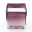 Plum Ombre Small Glass Candle - Sakura Blossom Scent