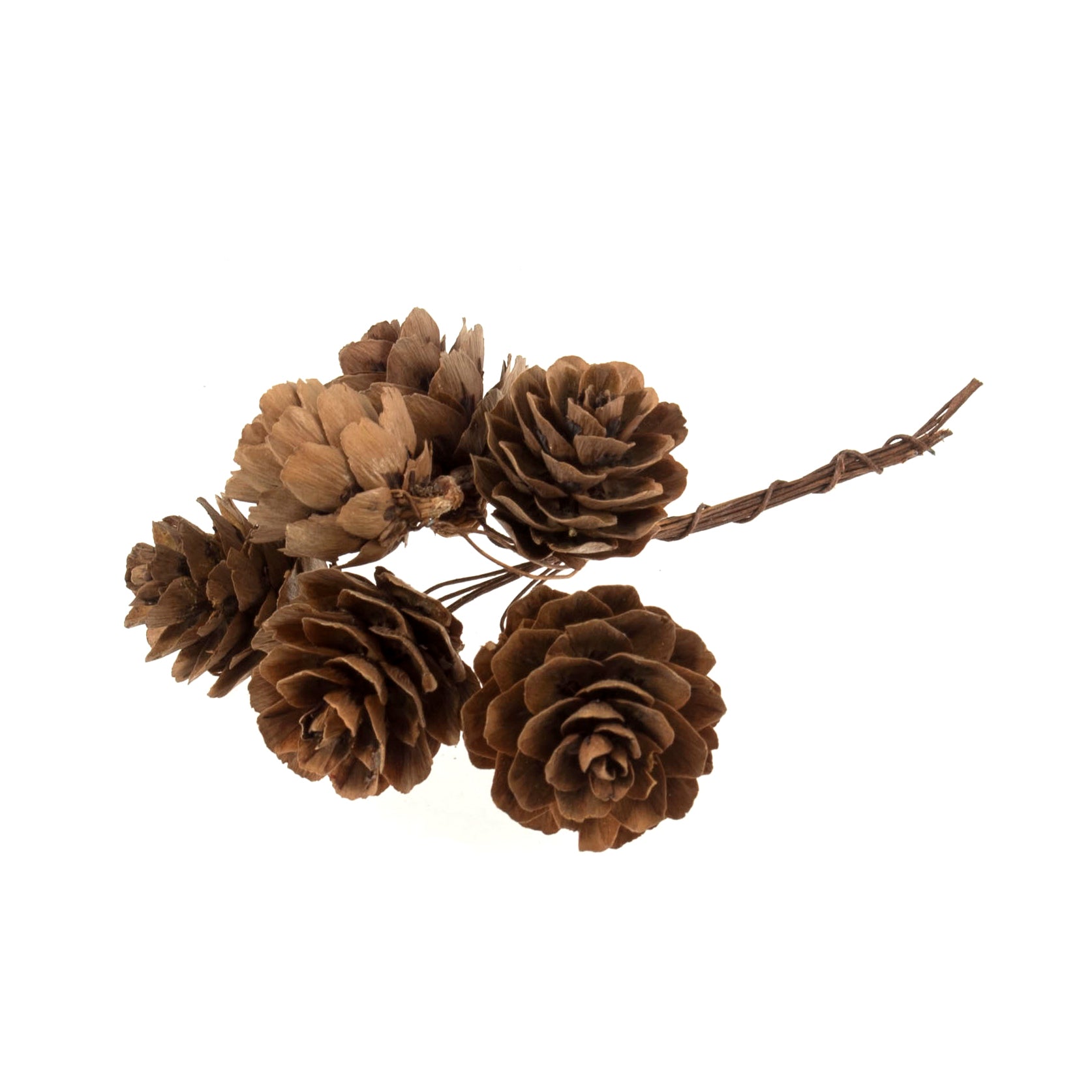 Faux Foliage - Natural Pine Cone Pick