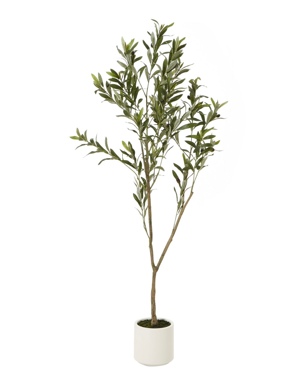 Faux Foliage - Potted Apulla Small Olive Tree