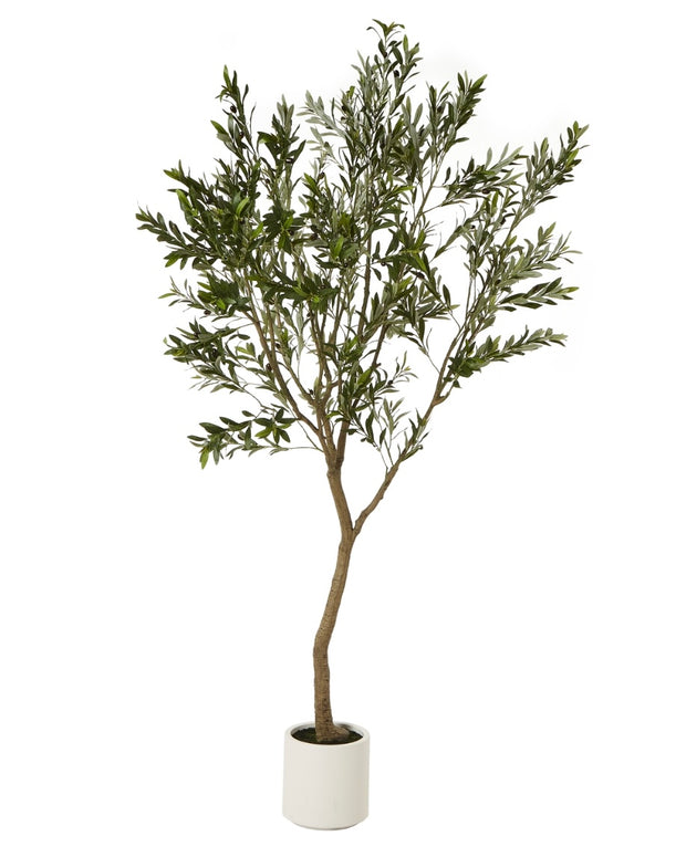 Faux Foliage - Potted Apulla Extra Large Olive Tree