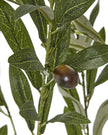 Faux Foliage - Potted Apulla Small Olive Tree