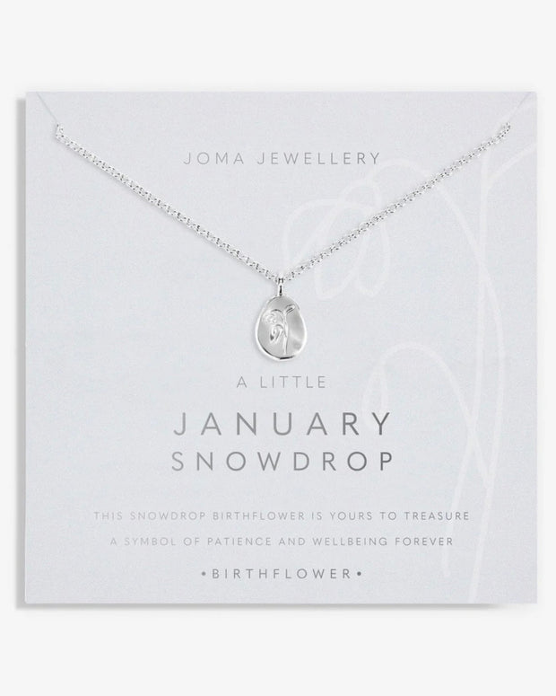 Joma Jewellery - A Little Birthflower Necklace January