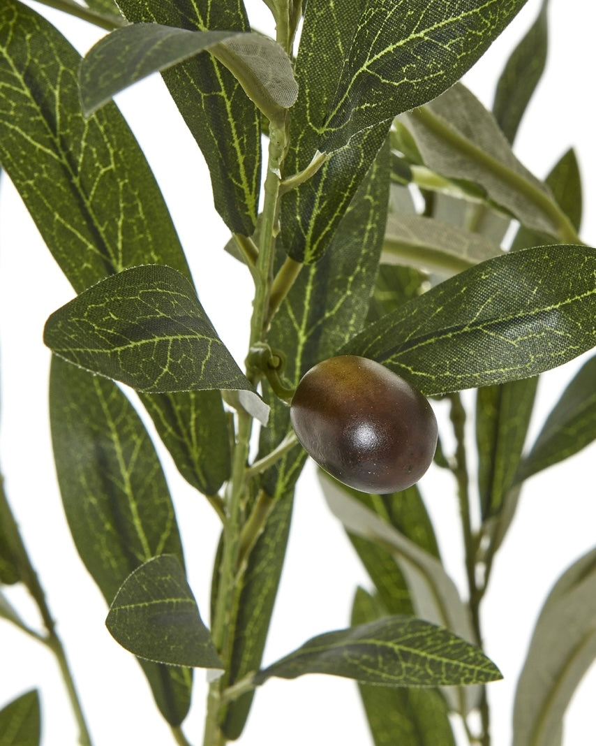 Faux Foliage - Potted Apulla Large Olive Tree