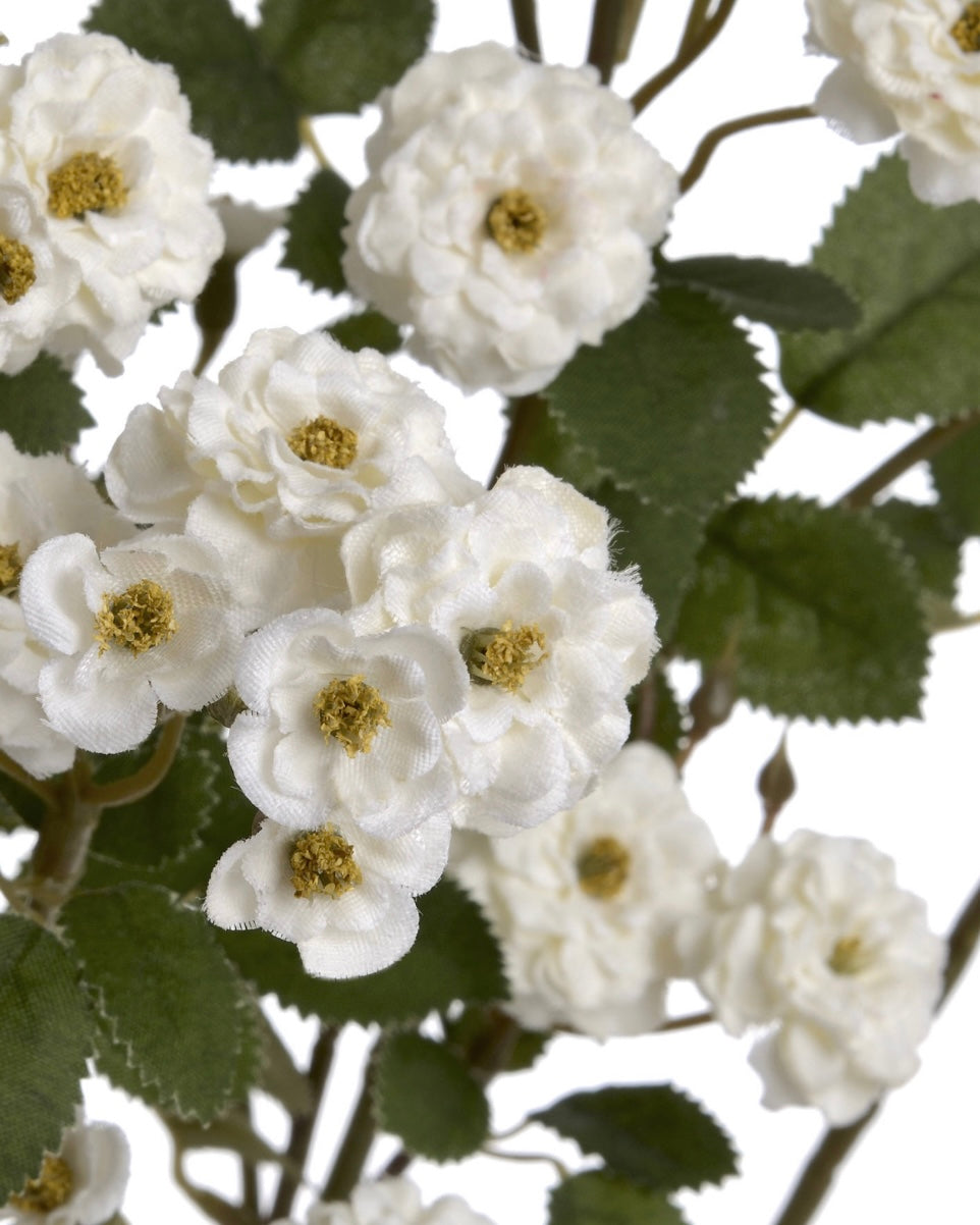 Faux Foliage, Classic White Meadow Rambling Rose Stem