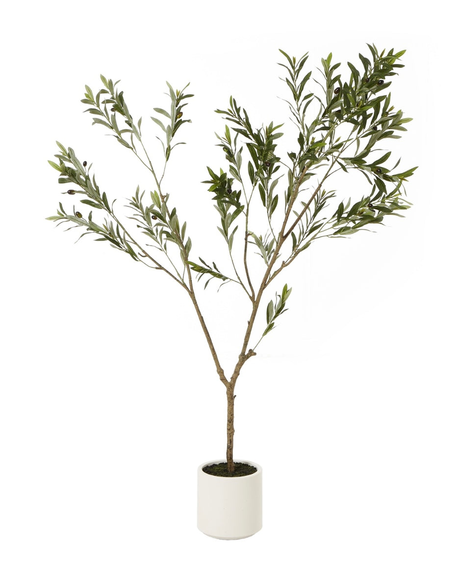 Faux Foliage - Potted Apulla Large Olive Tree