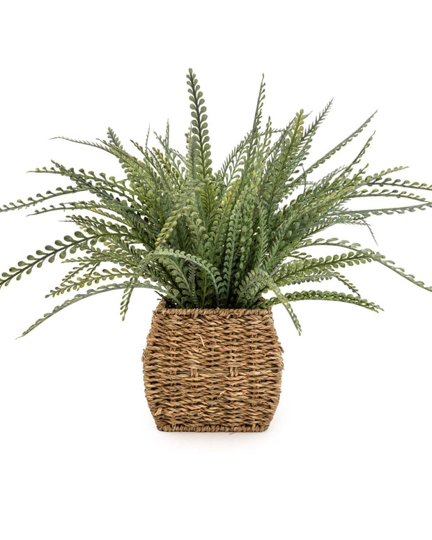 Faux Foliage - Fern in Seagrass Basket