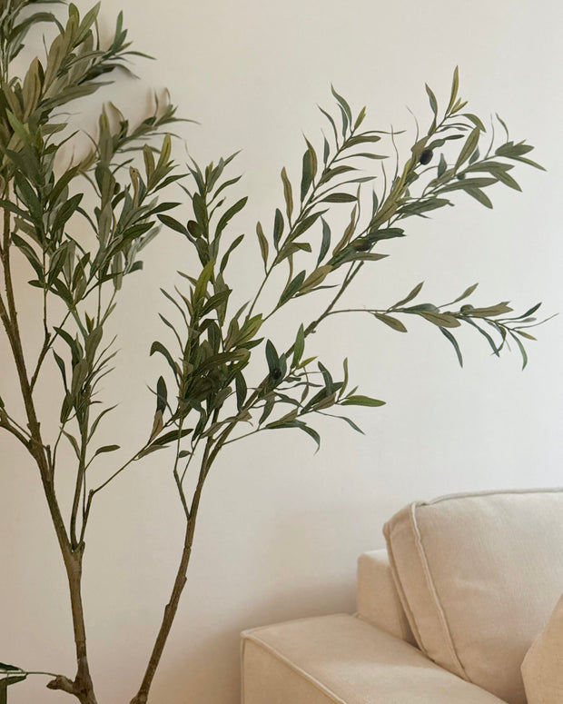 Faux Foliage - Potted Apulla Small Olive Tree