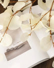 Faux Foliage - Cream Flat Leaf Eucalyptus