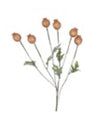 Faux Foliage - Copper Poppy Head Stem