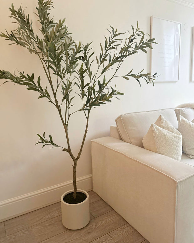 Faux Foliage - Potted Apulla Small Olive Tree