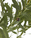 Faux Foliage - Potted Apulla Small Olive Tree