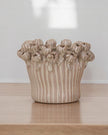 Beige Ceramic Seed Head Plant Pot