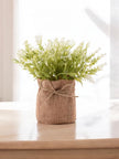 Small Faux Plant in Hessian Bag