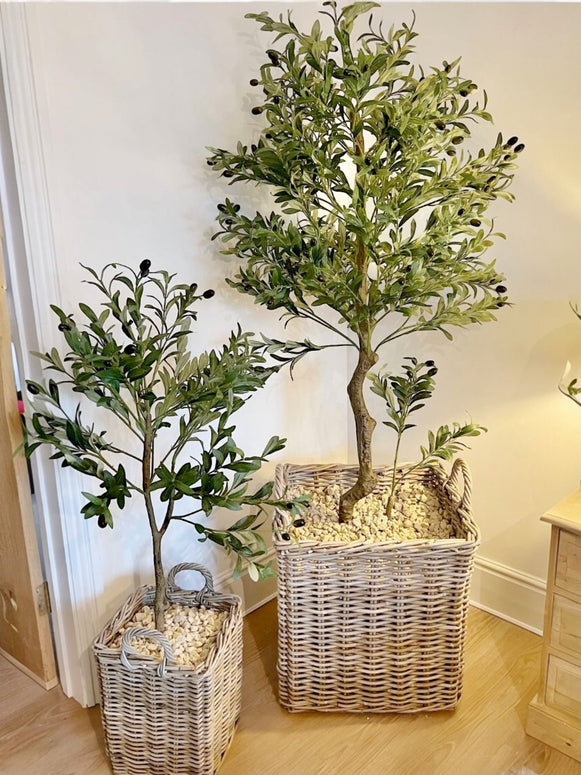 Faux Foliage - Potted Calabria Small Olive Tree