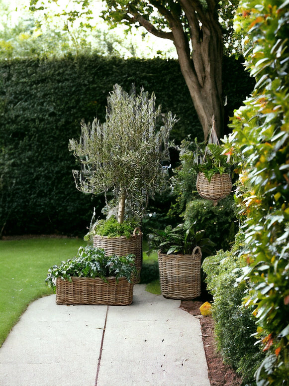 Rattan Kubu Luxury Round Planter Baskets