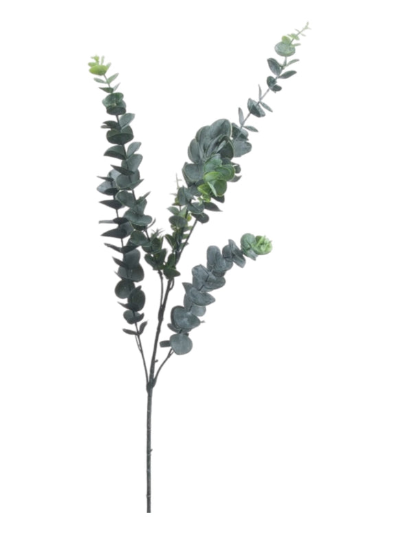 Faux Foliage - Tall Silver Dollar Eucalyptus Stem