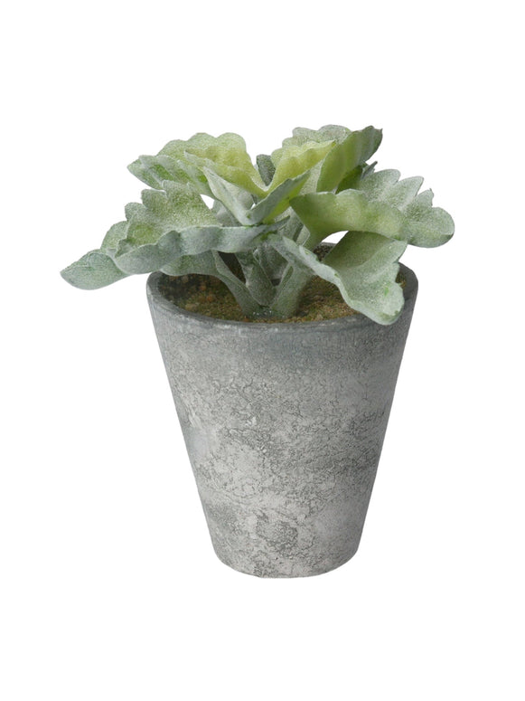 Faux Foliage - Frosted Faux Plant Pot