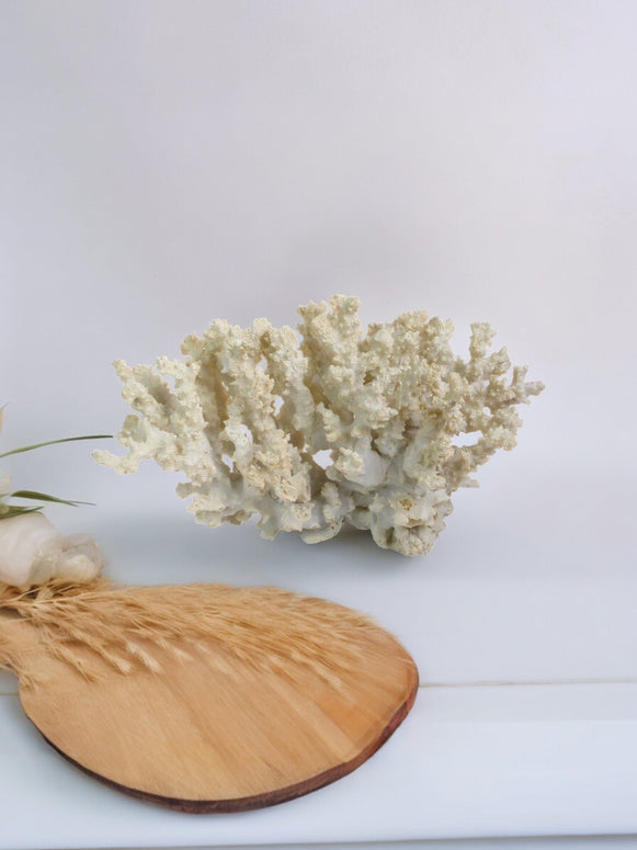 Faux Resin Large Cream Flat Coral Ornament